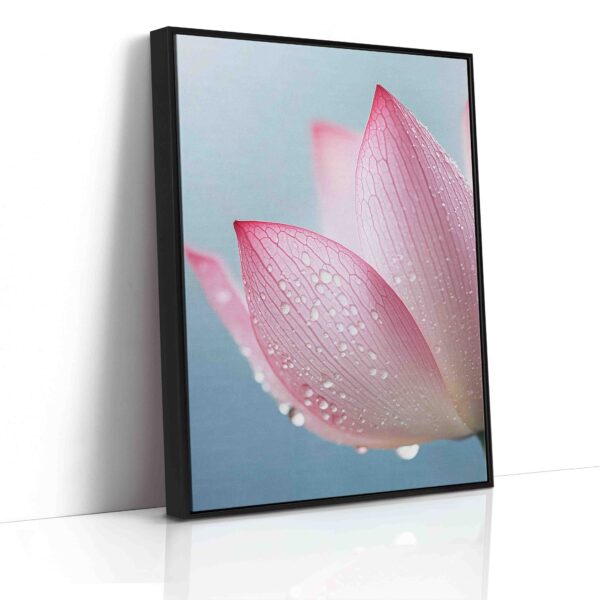 Obraz Růžový lotus s kapkami vody - Obraz na plátně - Image 6