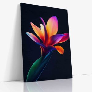 Detailní makro fotografie barevné tropické rostliny výrazně kontrastující s dramatickým černým pozadím, zdůrazňujícím její exotickou krásu.