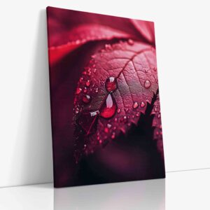 Detailní makro fotografie třpytivých kapek rosy usazených na sametovém povrchu intenzivně červeného listu, zachycující fascinující optické efekty a texturu.