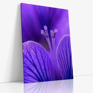 Detailní makro fotografie fialového květu zachycující jemnou strukturu okvětních lístků a bohatou paletu fialových odstínů v působivém detailu.