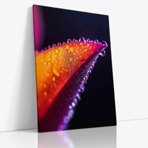 Detailní makro fotografie třpytivých kapek rosy na smaragdovém listu tropické rostliny, zachycující fascinující optické efekty a strukturu exotické flóry.