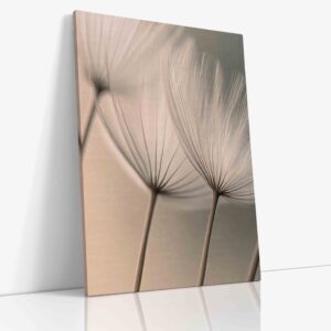 Detailní makro fotografie jemných bílých květů na světlém harmonickém pozadí, vytvářející éterický a vzdušný minimalistický dojem.