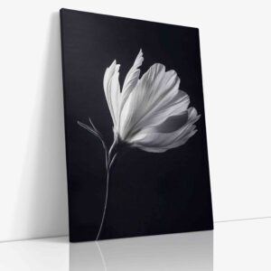 Detailní makro fotografie čistě bílého květu dramaticky kontrastujícího s hlubokým černým pozadím, zachycující jemnou strukturu a křehkou krásu.