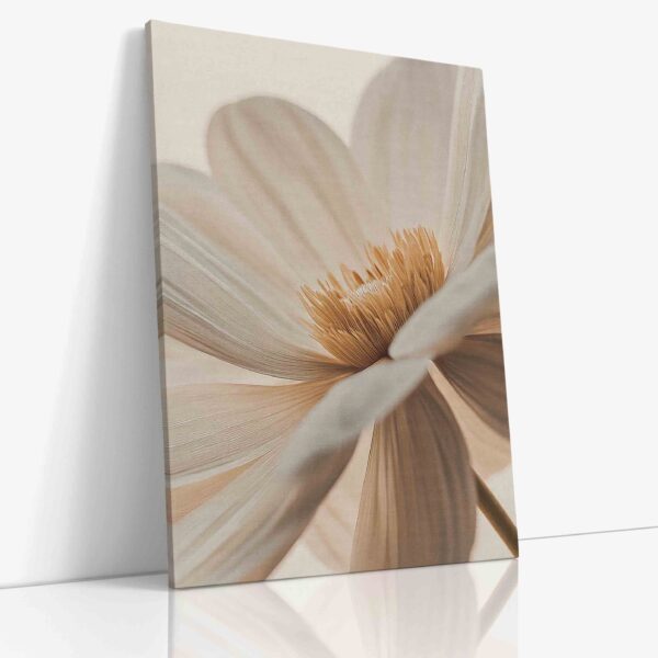 Extrémně detailní makro fotografie bílého květu zachycující fascinující struktury, textury a jemné přechody v intimním pohledu.