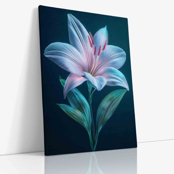 Detailní fotografie exotické rostliny s elegantním bílým květem dramaticky kontrastujícím s hlubokým černým pozadím, zdůrazňujícím její neobvyklou tropickou krásu.