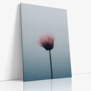 Detailní makro fotografie květu na chladném, uklidňujícím pozadí, zachycující fascinující struktury a textury v intimním botanickém portrétu.