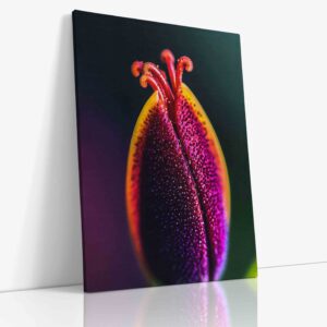Makro fotky rostlin