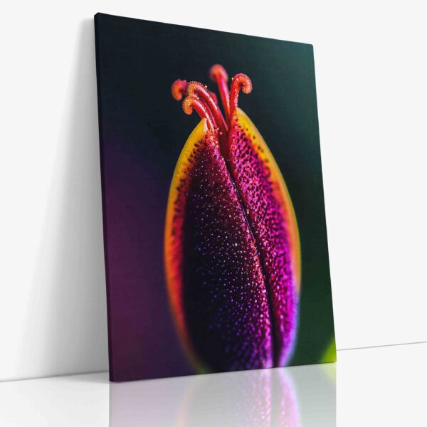 Detailní makro fotografie fascinujícího zavřeného květu barevné tropické rostliny zachycující komplexní struktury a živé barvy v neobvyklé perspektivě.