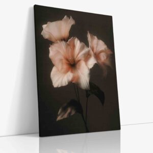 Detailní fotografie něžného růžového květu dramaticky kontrastujícího s elegantními černými listy, vytvářející unikátní a sofistikovanou botanickou kompozici.