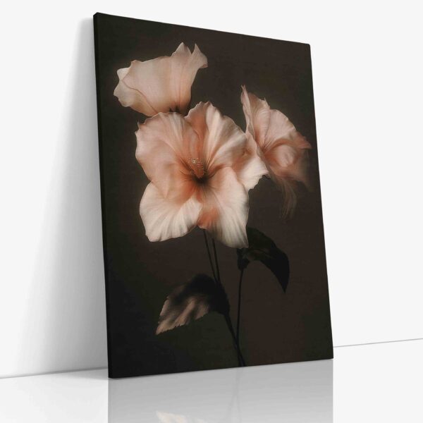 Detailní fotografie něžného růžového květu dramaticky kontrastujícího s elegantními černými listy, vytvářející unikátní a sofistikovanou botanickou kompozici.