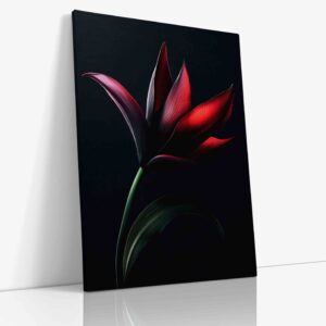Detailní makro fotografie tropické rostliny s výraznými konturami na tmavém pozadí, zachycující jemné struktury a křivky exotických listů.