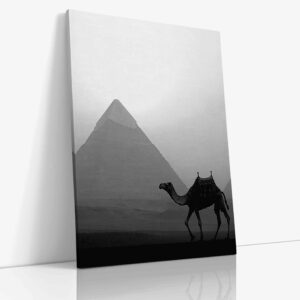Velbloud před pyramidou v Gíze, historická scenérie