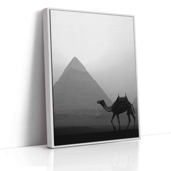 Obraz Velbloud před pyramidou v Gíze- Obraz na plátně - Image 5
