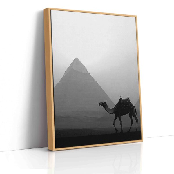 Obraz Velbloud před pyramidou v Gíze- Obraz na plátně - Image 4