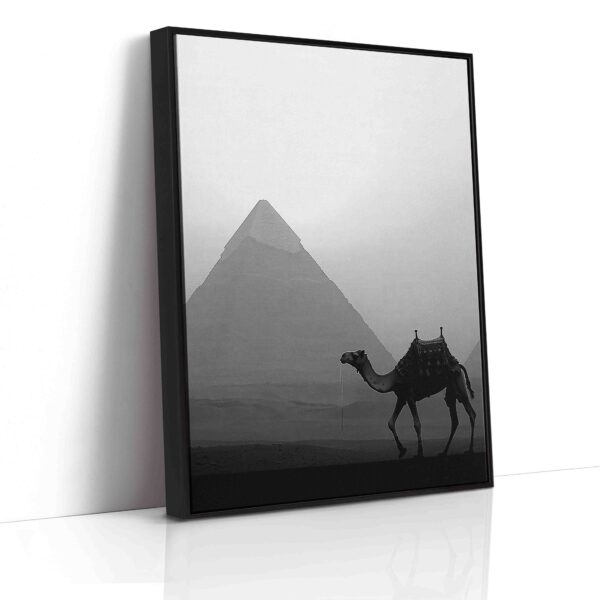 Obraz Velbloud před pyramidou v Gíze- Obraz na plátně - Image 6