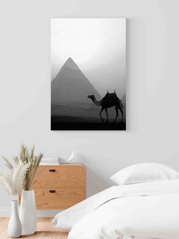 Obraz Velbloud před pyramidou v Gíze- Obraz na plátně - Image 2